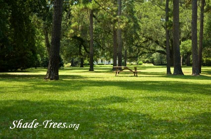 iStock_000005073765XSmall.jpg